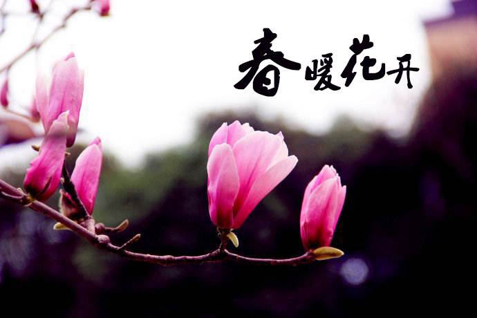 春暖花開(kāi) 教你春季如何做汽車保養(yǎng)！