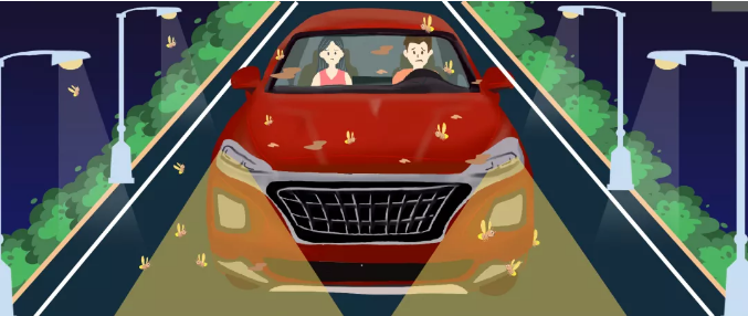 安全清除車身飛蟲(chóng)，僅需十分鐘